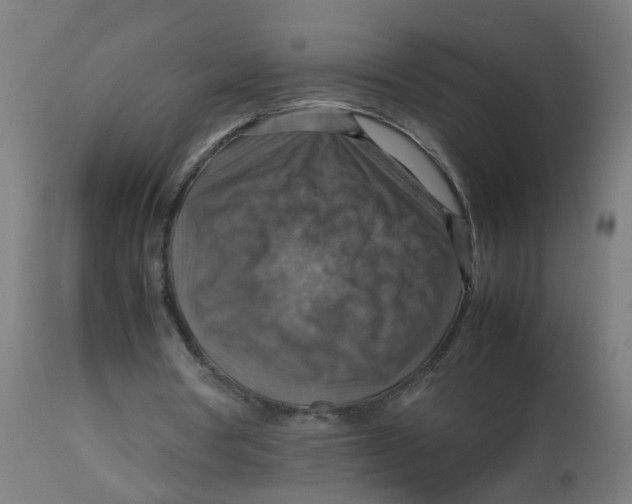 X0000112770386200909171318