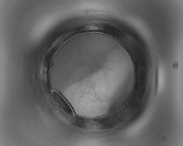 X0000112770387200909171318