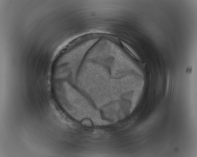 X0000112770388200909171318