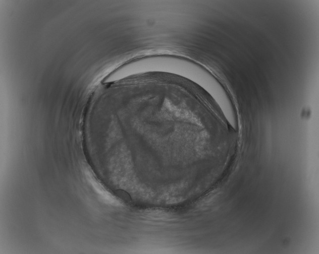 X0000112770389200909171318