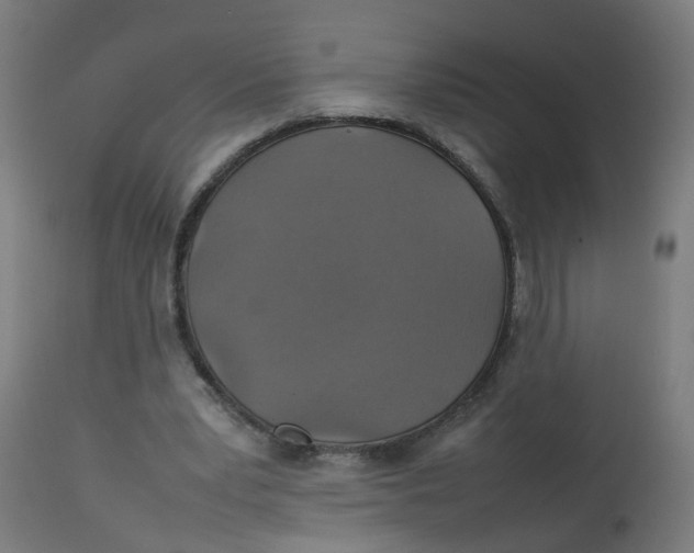 X0000112770391200909171318