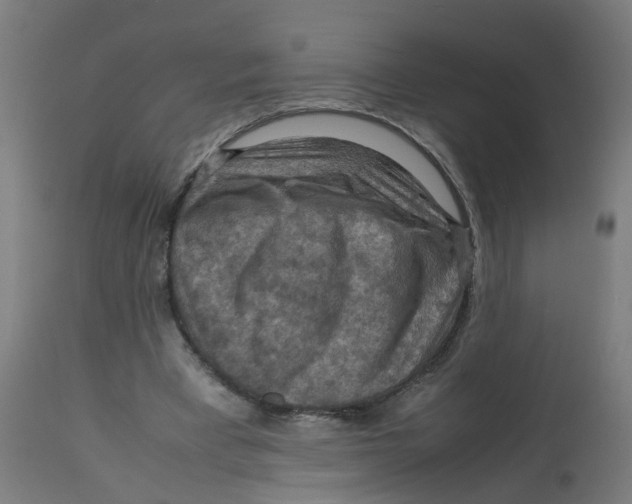 X0000112770393200909171318