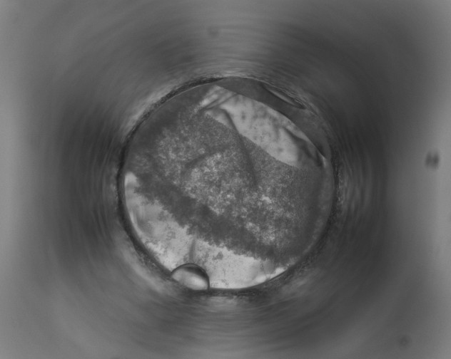 X0000112770394200909171318