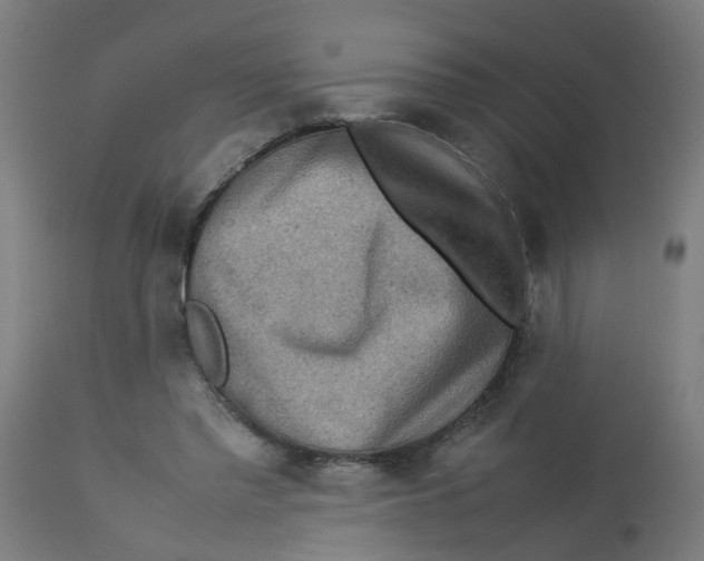 X0000112770397200909171318