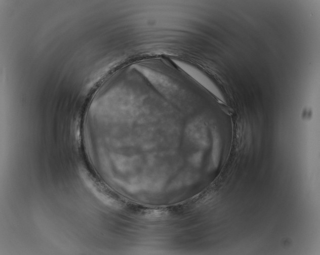 X0000112770398200909171318