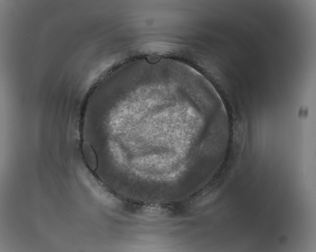 X0000112770399200909171318