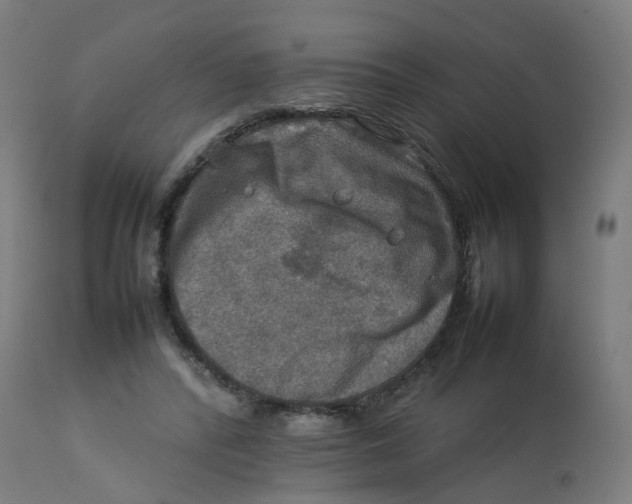 X0000112770400200909171318