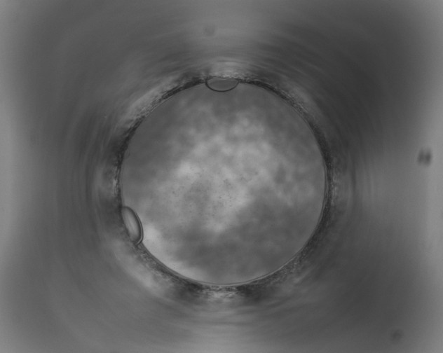 X0000112770401200909171318