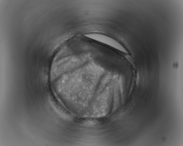 X0000112770402200909171318