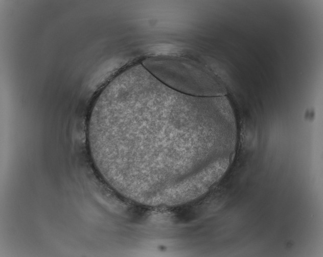 X0000112770403200909171318