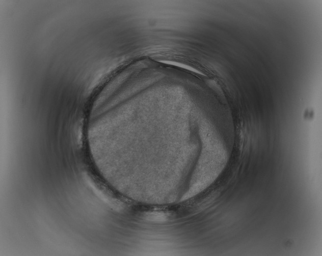 X0000112770404200909171318