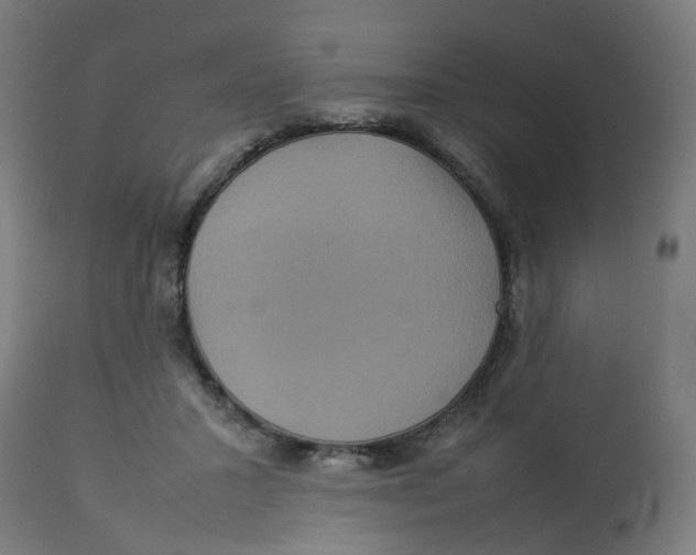 X0000112770407200909171318