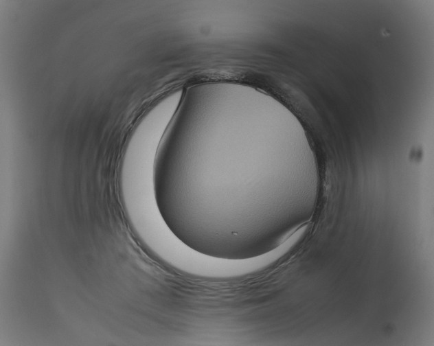 X0000112770409200909171318