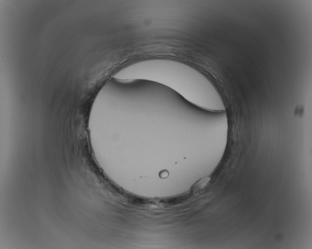 X0000112770411200909171318