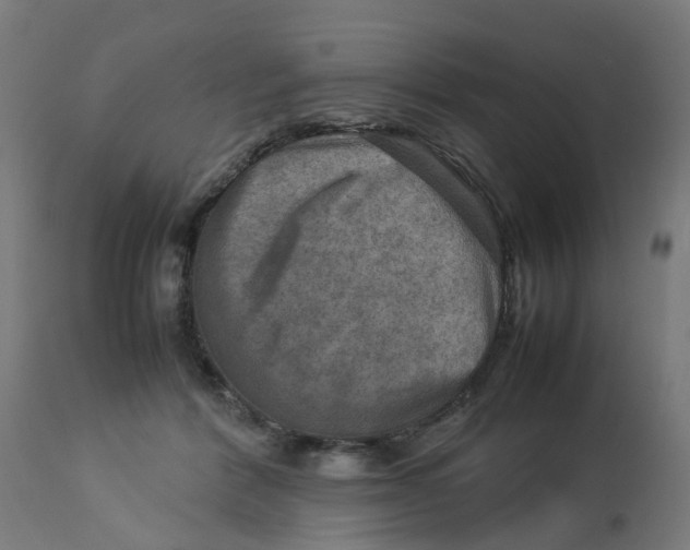 X0000112770412200909171318