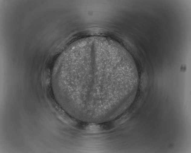 X0000112770413200909171318