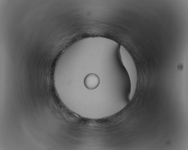 X0000112770416200909171318