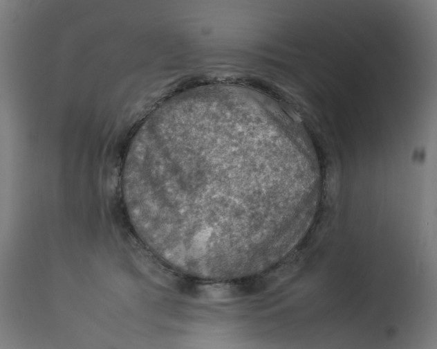 X0000112770417200909171318