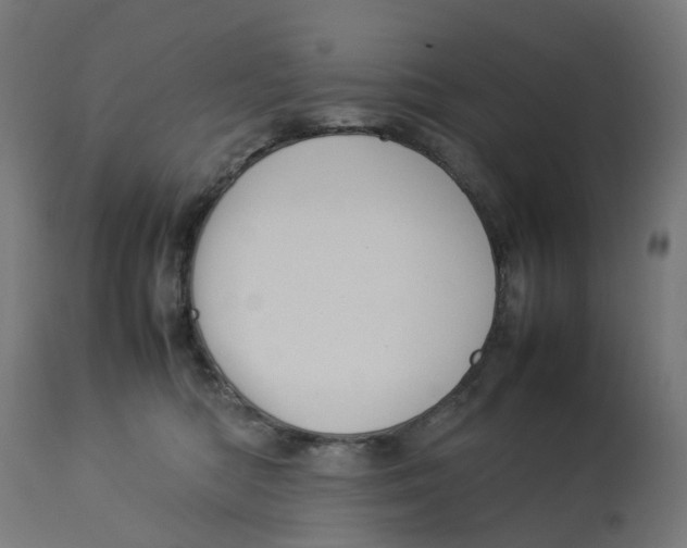 X0000112770422200909171317