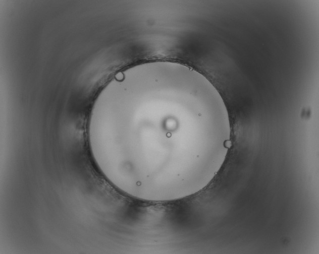 X0000112770423200909171317