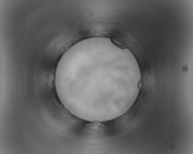 X0000112770427200909171317