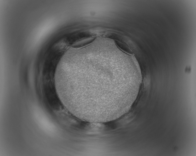 X0000112770429200909171317