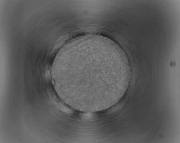 X0000112770432200909171317