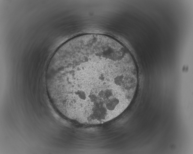 X0000112770433200909171316