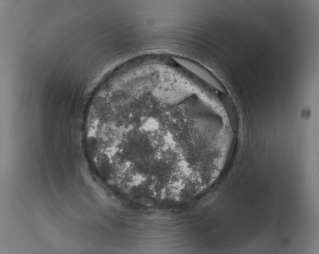 X0000112770434200909171316