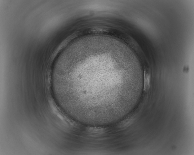 X0000112770435200909171316