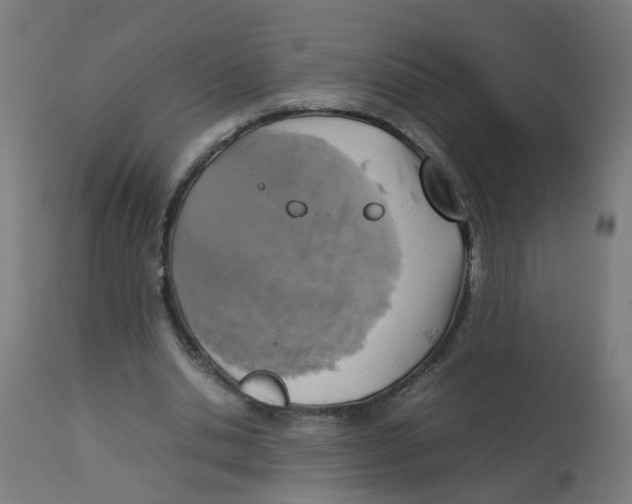 X0000112770438200909171317