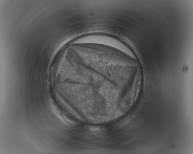 X0000112770439200909171317