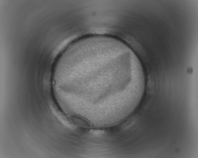 X0000112770440200909171317