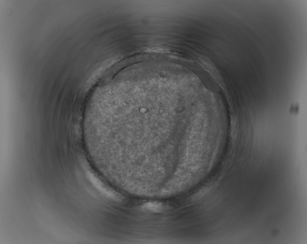 X0000112770441200909171317