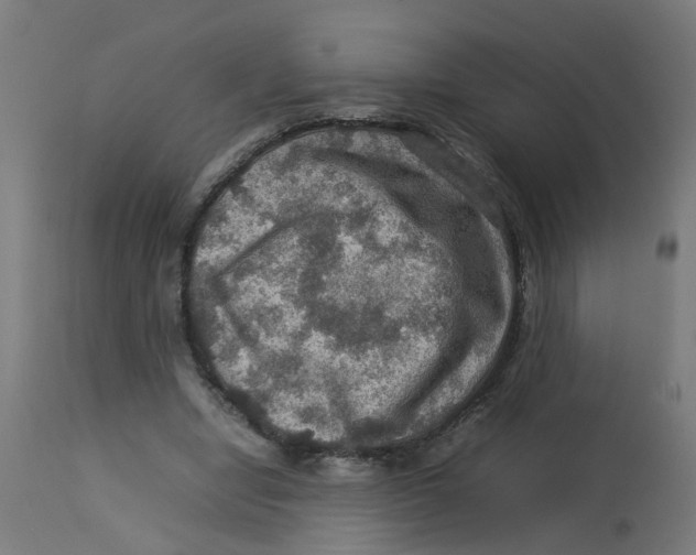 X0000112770442200909171317