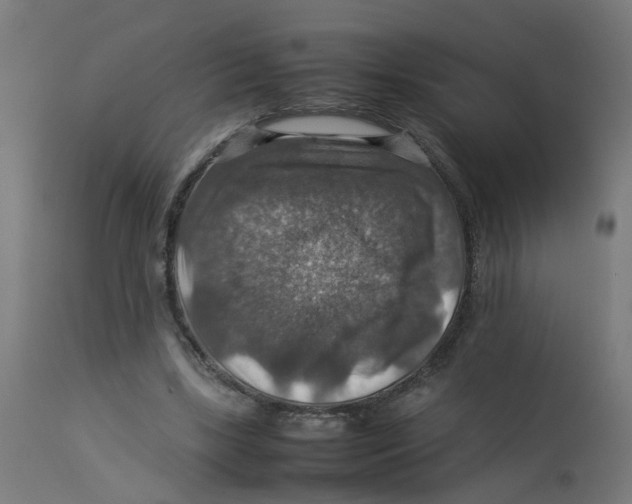 X0000112770443200909171317