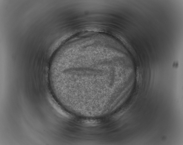 X0000112770445200909171317