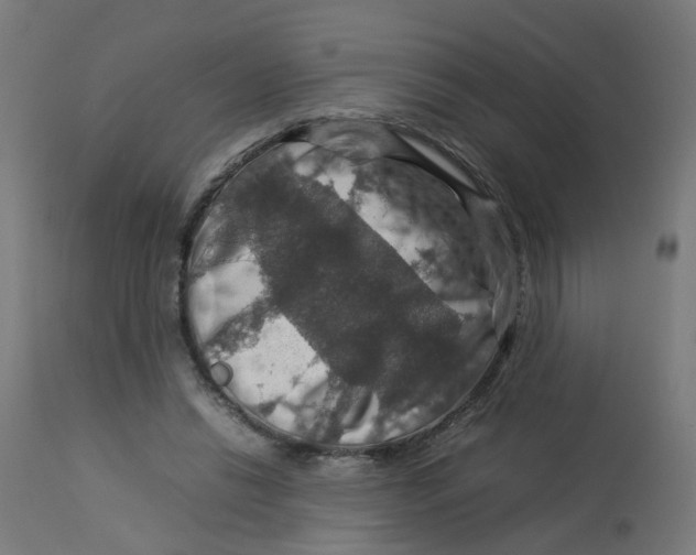 X0000112770446200909171317