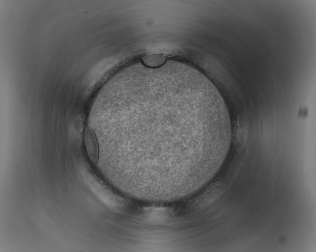 X0000112770448200909171317