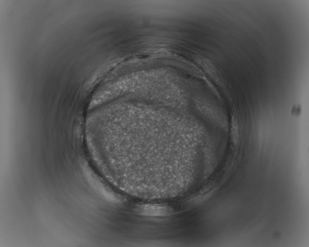 X0000112770449200909171317