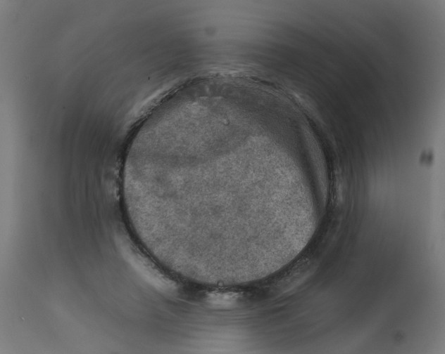 X0000112770450200909171317