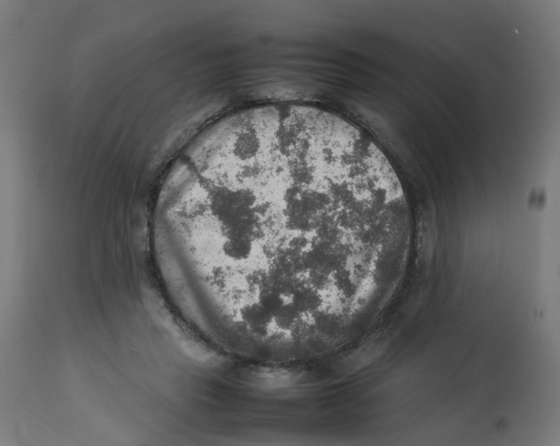 X0000112770453200909171317