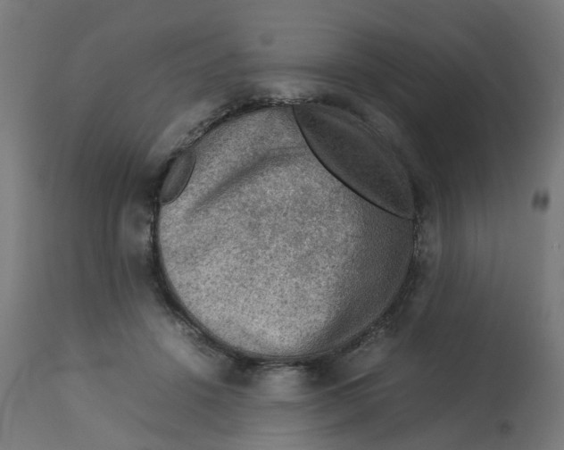 X0000112770456200909171317