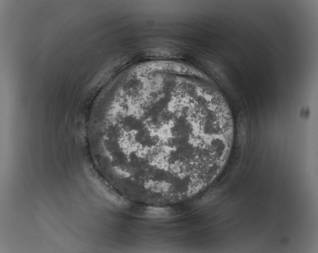 X0000112770457200909171317