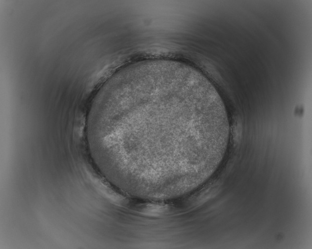 X0000112770458200909171317