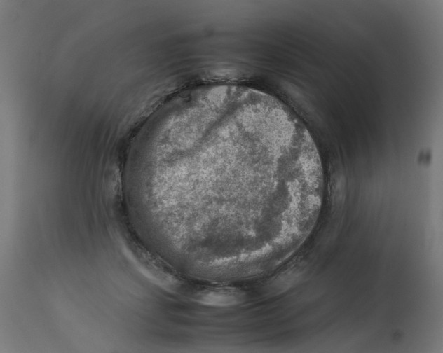 X0000112770459200909171317