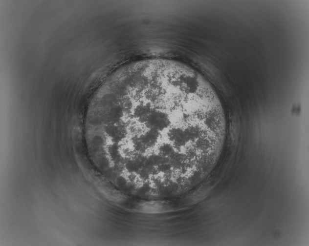 X0000112770461200909171317