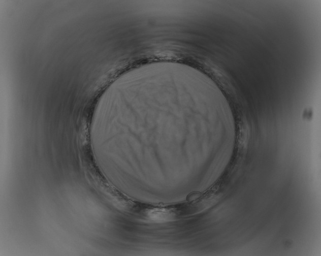 X0000112770465200909171317