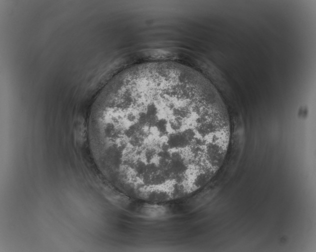 X0000112770469200909171317