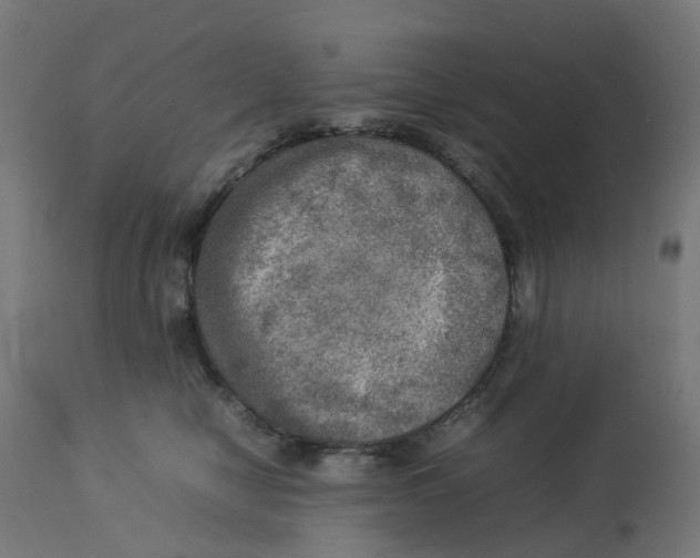 X0000112770470200909171317